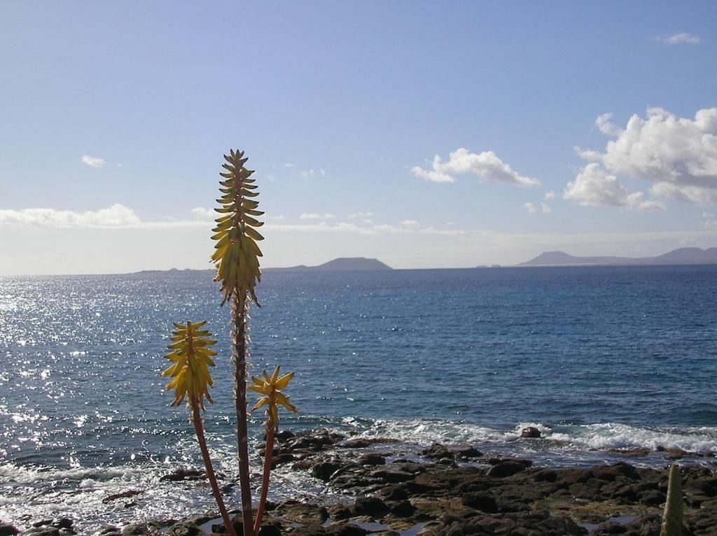 Hébergement de vacances Casa Aguamarina 23b Playa Blanca (Lanzarote)